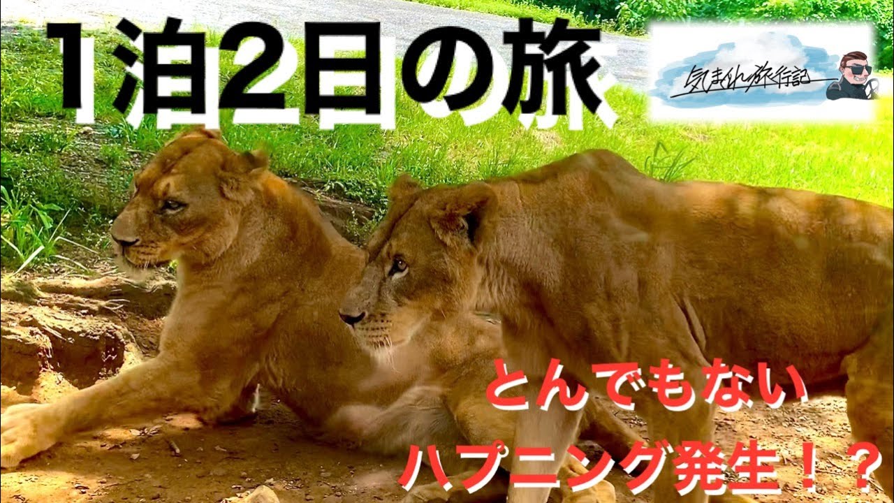 【気まぐれ旅行記】美祢〜岩国1泊2日の旅でまさかのハプニング！？