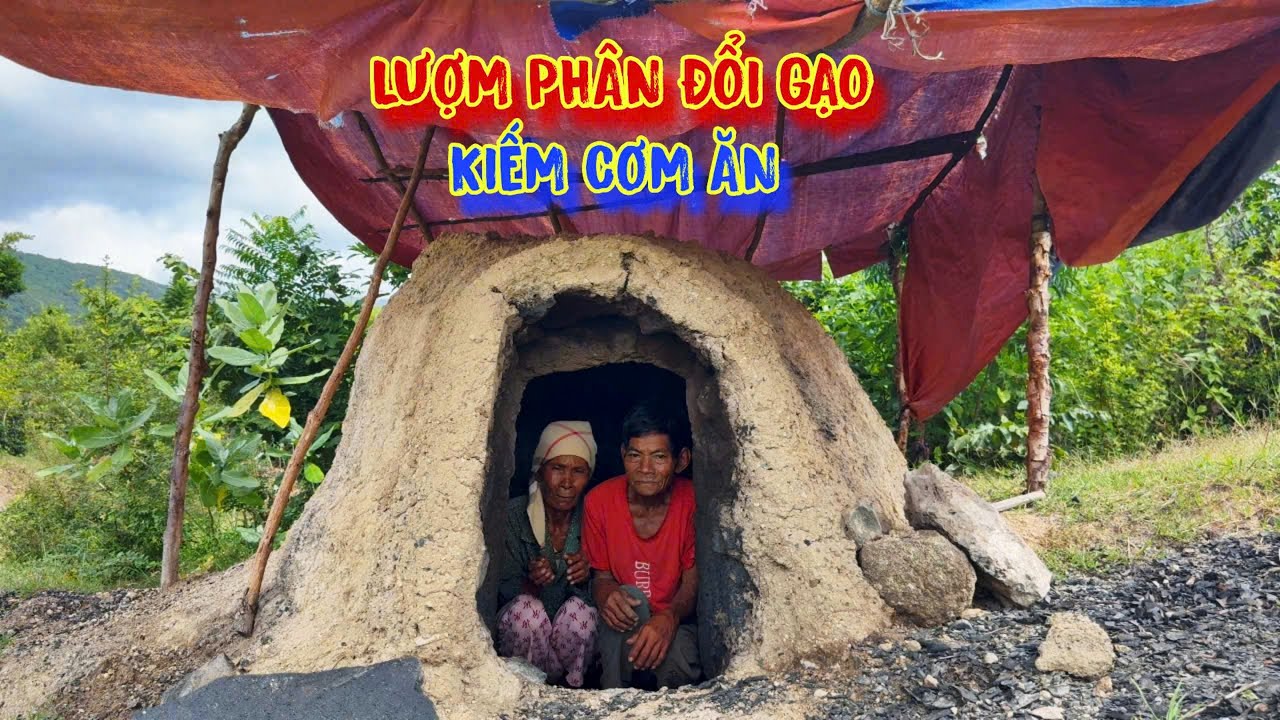 NƠI Ở khắc nghiệt, chó ăn đá, gà ăn sỏi, LƯỢM PHÂN đổi gạo ăn - tập 1221