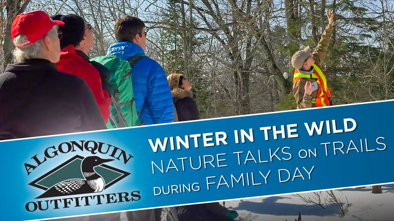 Algonquin Park Winter in the Wild - Nature Talks on Trails