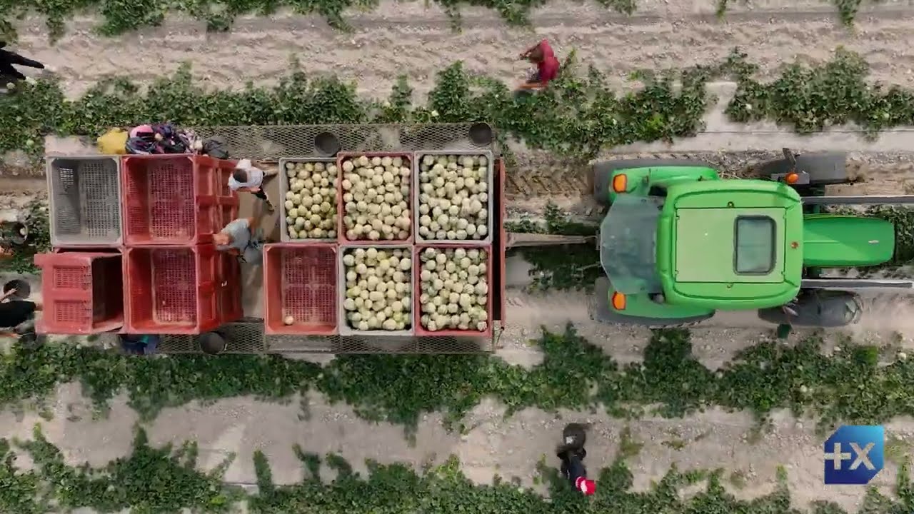 Prix de la Dynamique Agricole 2022 - Département de l'Anjou - EARL LE PRIEURE DE LA DIVE