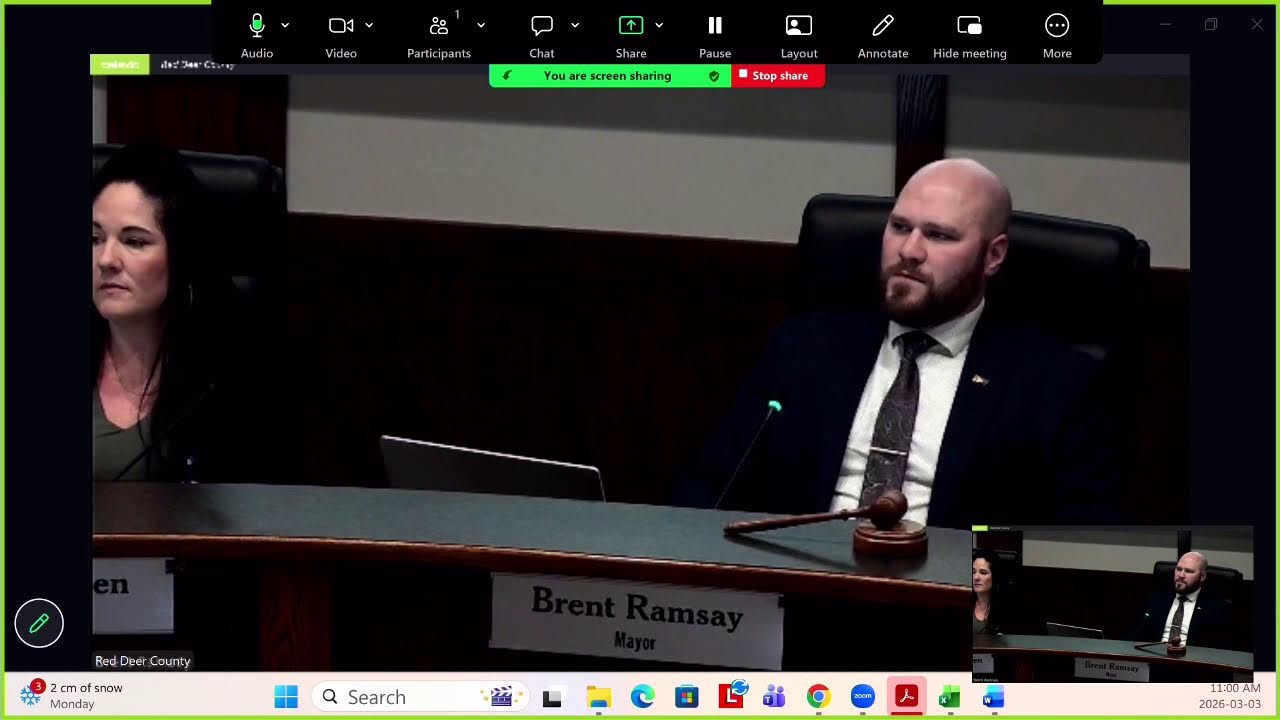 March 3, 2026, County Council Meeting
