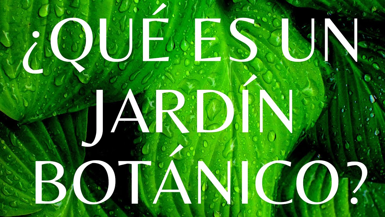 ¿QUÉ ES UN JARDÍN BOTÁNICO?