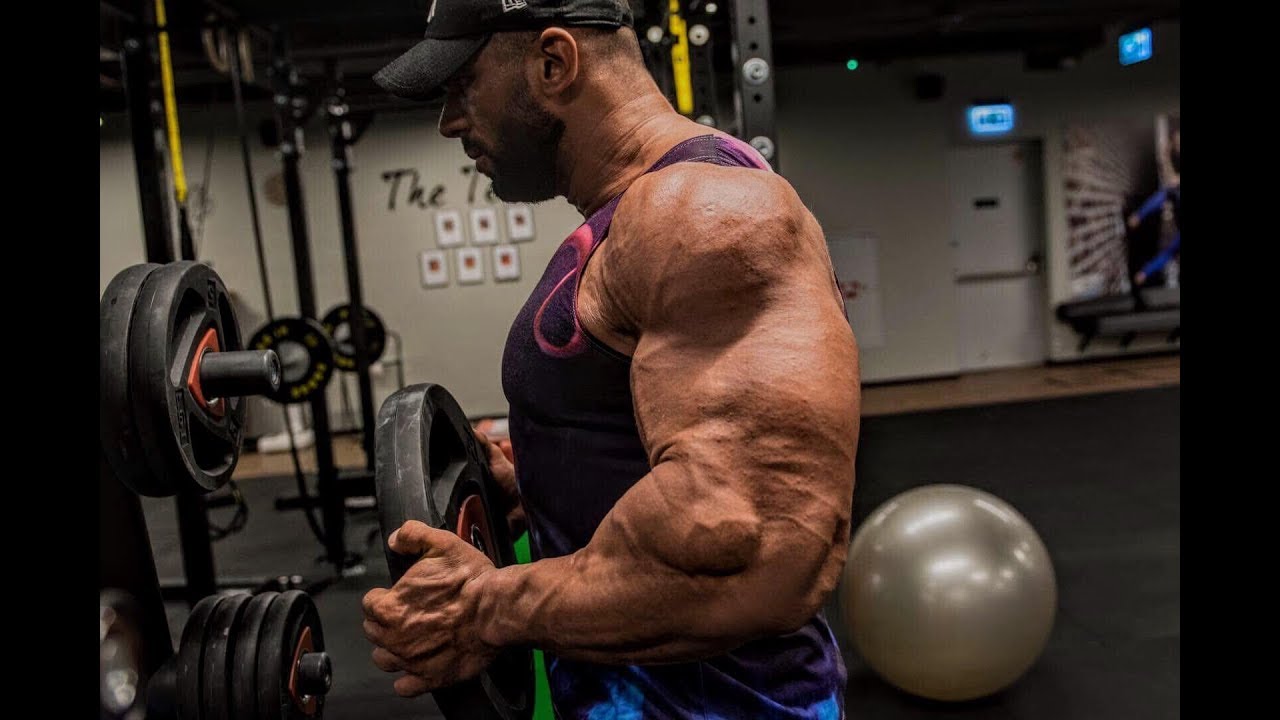 Minikox Motivation ARMS workout !