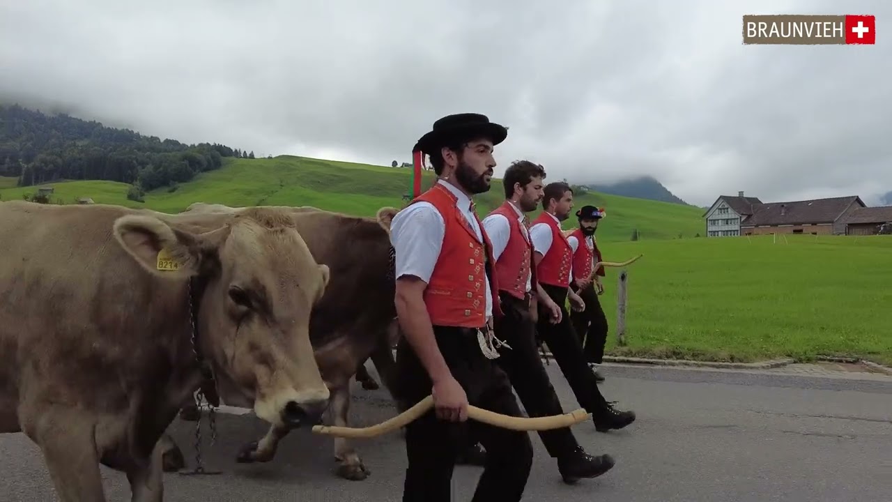 Alpabzug Appenzell 2022 - longversion