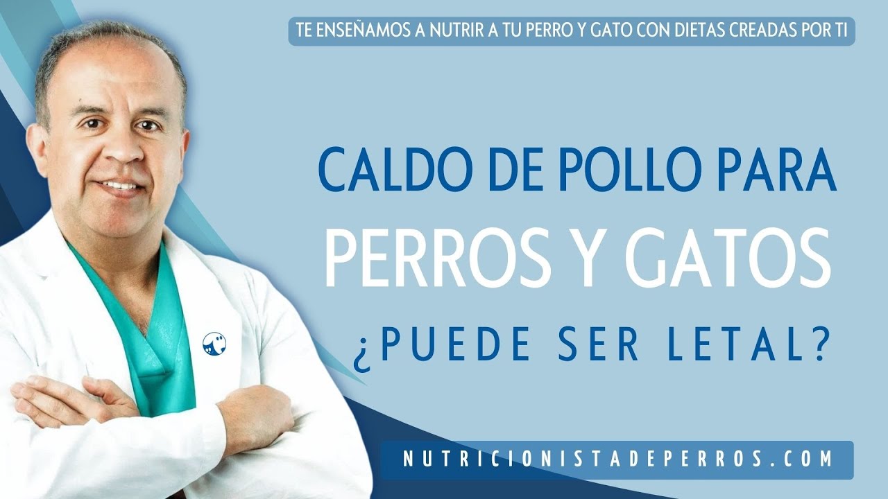 Caldo de pollo para tu perro o gato, ¿puede ser letal?