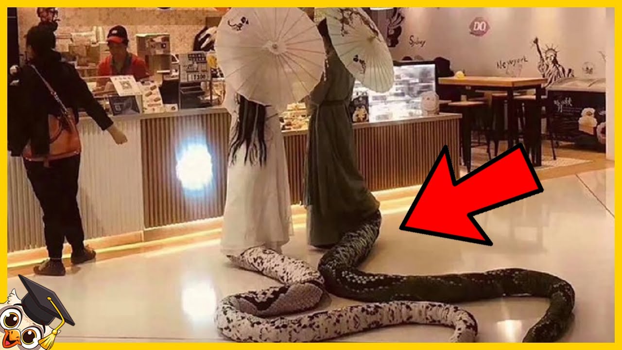 Les 10 Moments les plus effrayants que vous ne devriez PAS regarder seuls