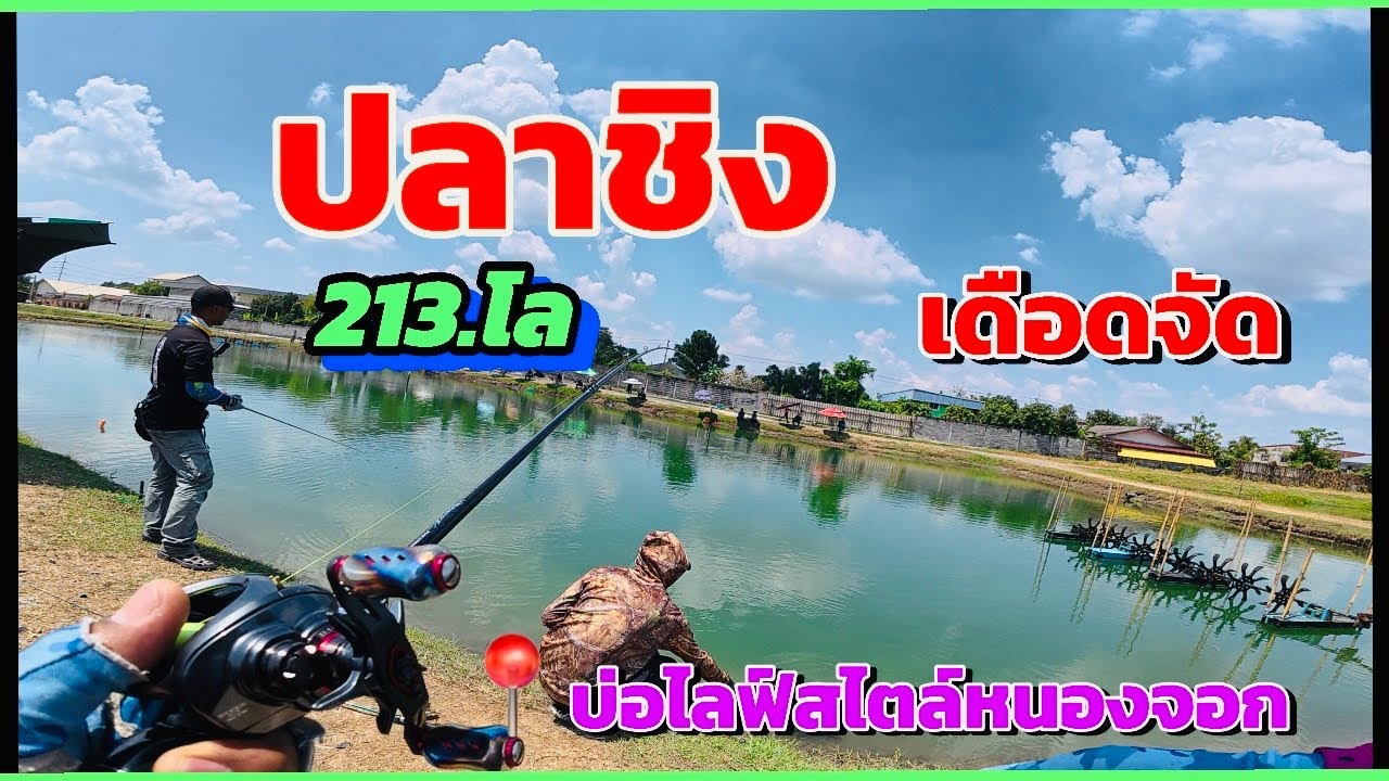EP-14🎣 ปลาชิง213.โล เช้าเดือดจัด-กัดทั่วบ่อตลอดทั้งวัน 📍บ่อไลฟ์สไตล์หนองจอก“