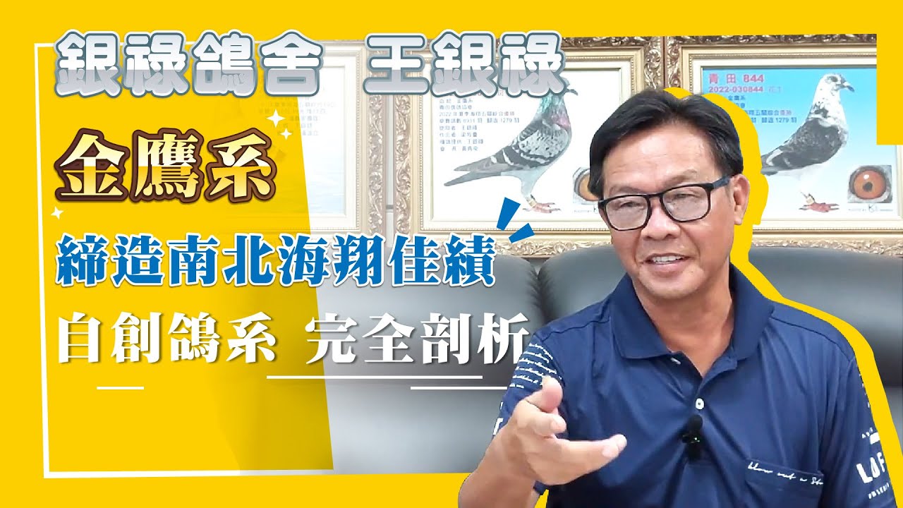 專訪【銀祿鴿舍 王銀祿】金鷹系–締造南北海翔佳績｜自創鴿系 完全剖析 #銀祿鴿舍 #王銀祿 #強豪 #種鴿 #養鴿 #賽鴿 #金鷹系 #2100賽鴿王