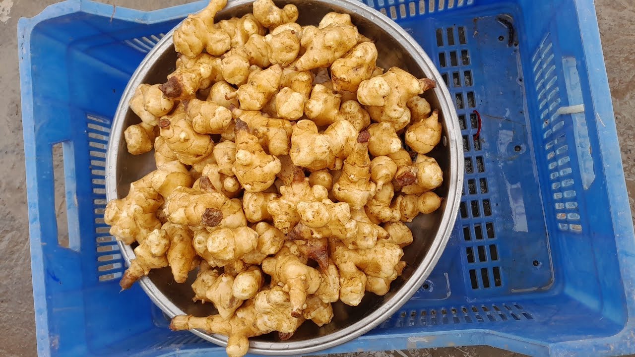 Köyde Bereketli Bir Gün: Doğal Ürünler Hazırlıyoruz | Organic Farm Life Daily