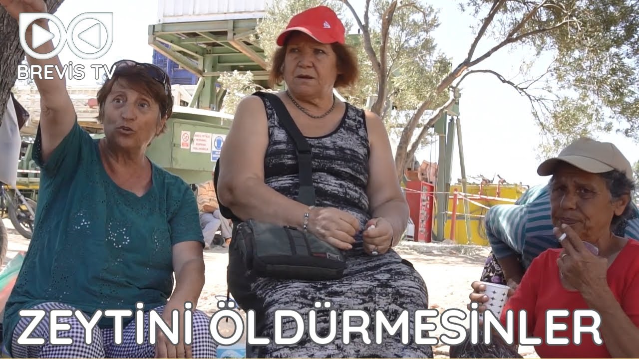 Zeytini Öldürmesinler - Belgesel Kısa Film