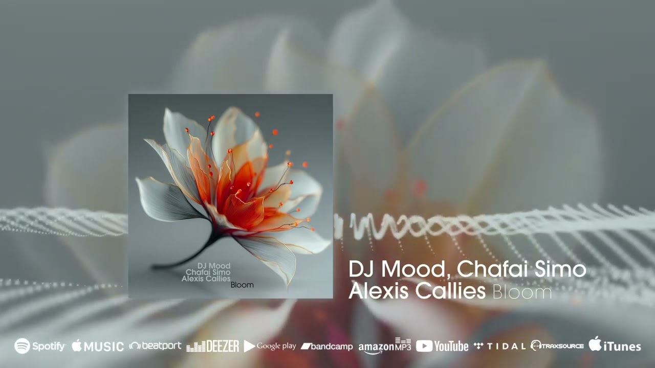 Fresh release: Dj Mood, Chafai Simo, Alexis Callies - Bloom (Beatport exclusive) #electronicamusic