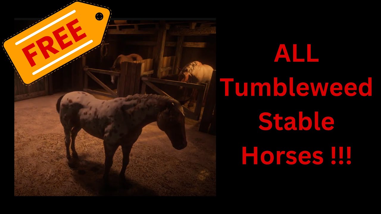 Red Dead Redemption 2: How to get  ALL Tumbleweed Horses for FREE? #arthurmorgan