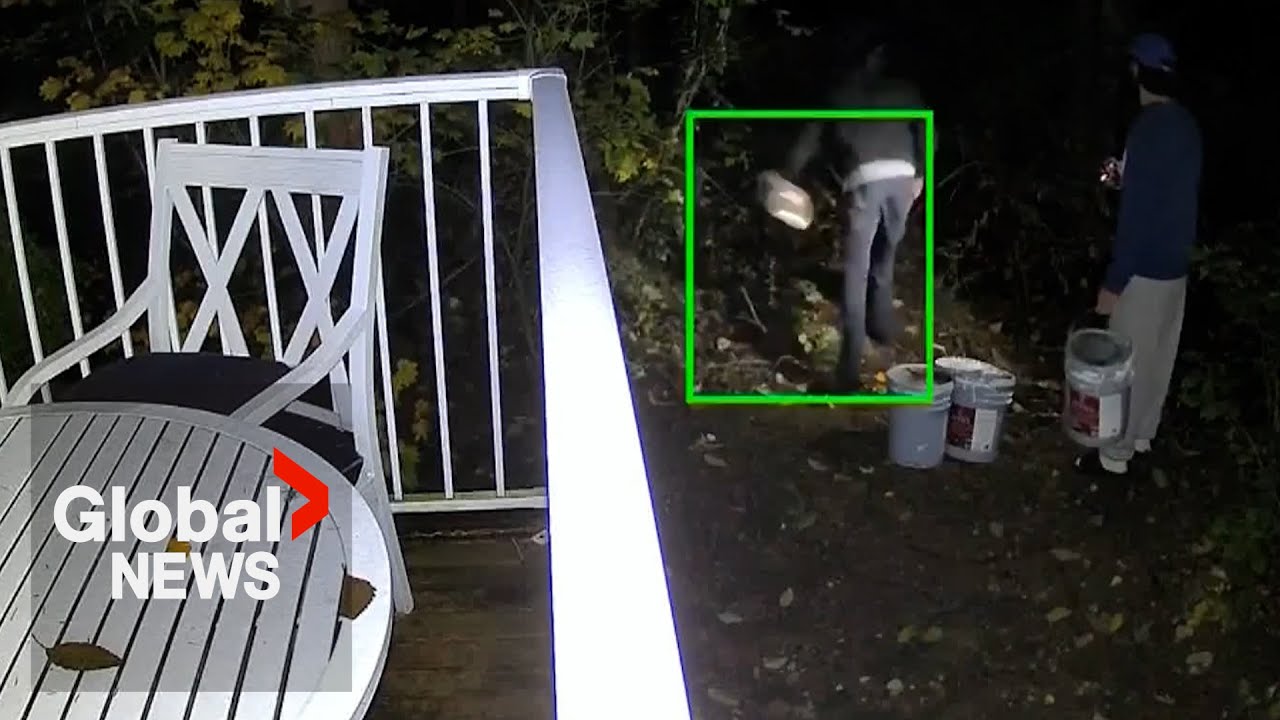 Caught-on-camera pollution in fish-bearing BC creek under investigation