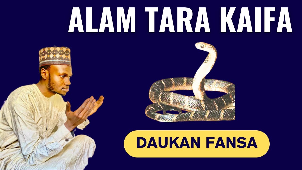 IN KANA SON DAUKAN FANSA KAN MAQIYI TO KA RIKE SIRRIN ALAM TARA KAIFA