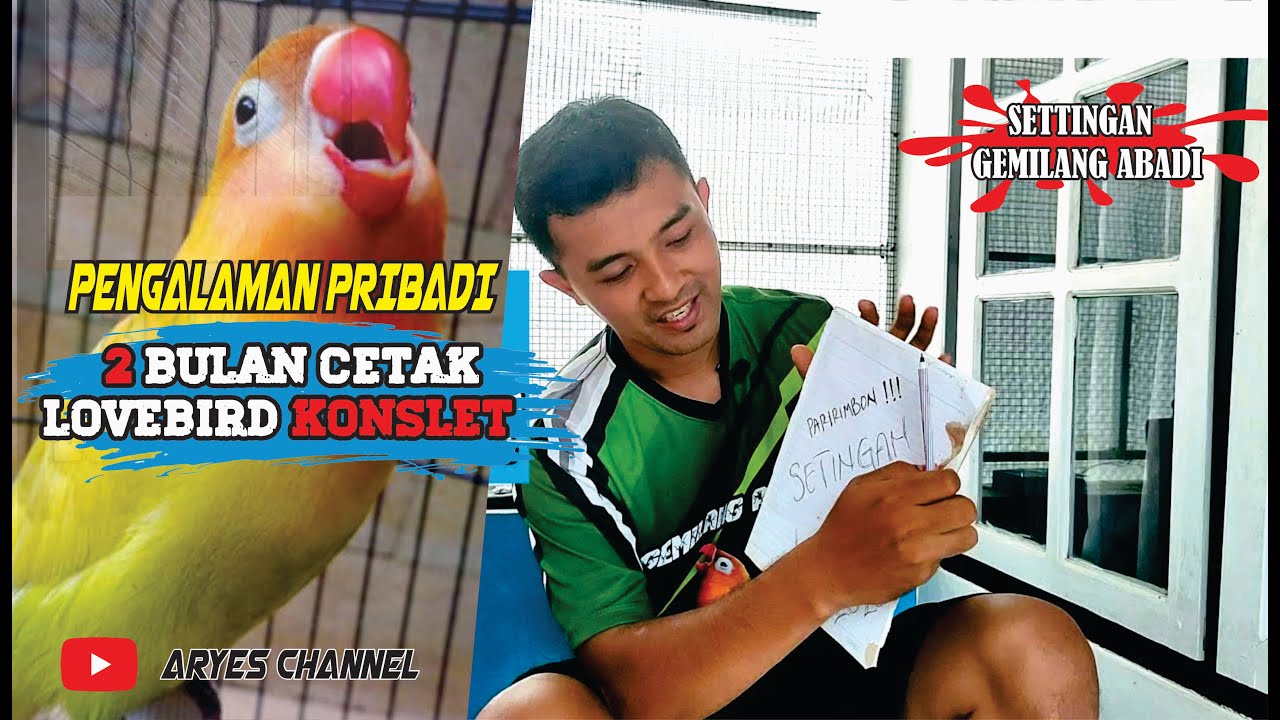 RAWATAN LENGKAP LOVEBIRD MANGGALA SAMPAI JADI KONSLET