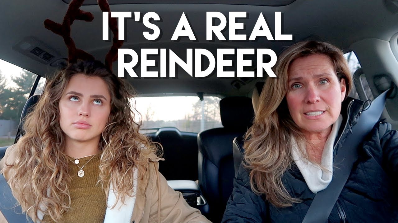 she kidnapped me to see a Reindeer (day 3)