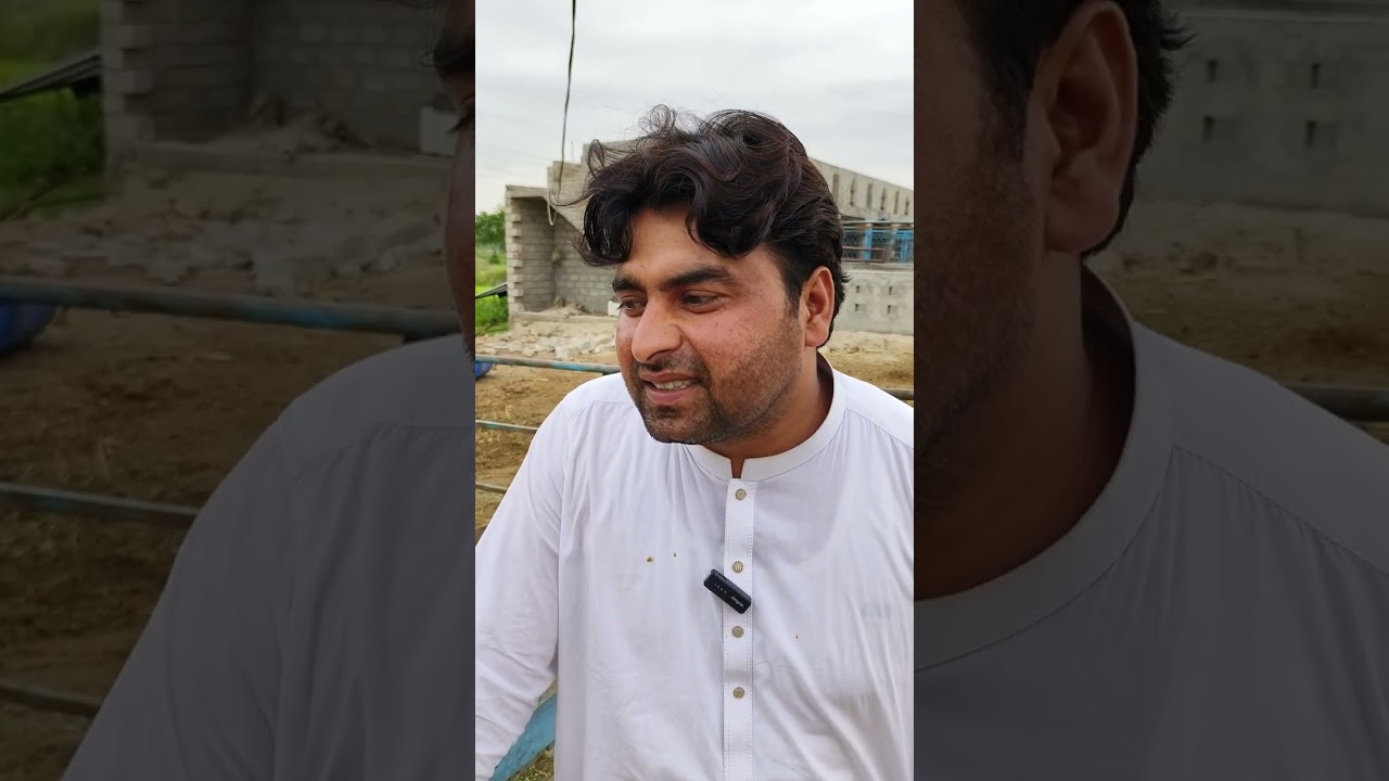 Al kabeer Awan Club Farm Tour@alkabeerawanclubpk