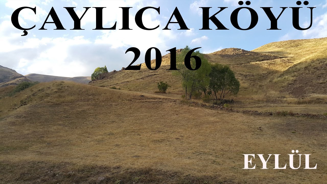 ÇAYLICA KÖYÜ (2016 - EYLÜL)