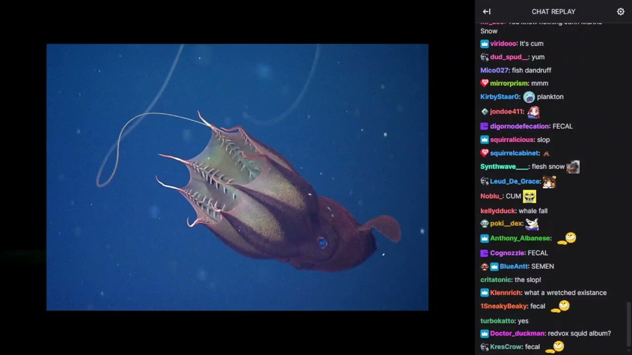 Vinny - Thalassophobic Curiosities #2 [WITH CHAT]