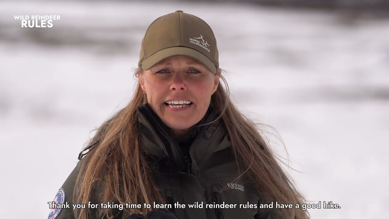 The Wild Reindeer Rules