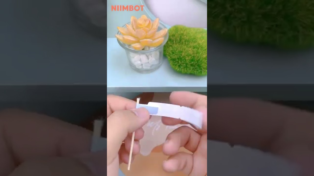 NIIMBOT D110 Cable label video