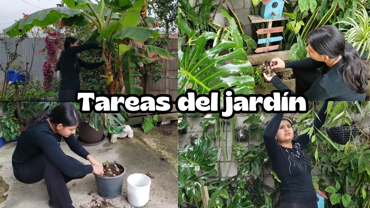 Tareas en el jardin