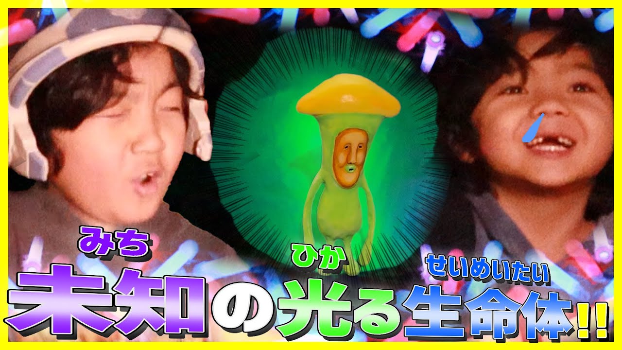 【こびとづかん】夜の闇にかがやく･･･なぞの物体(ぶったい)をさがせ!!
