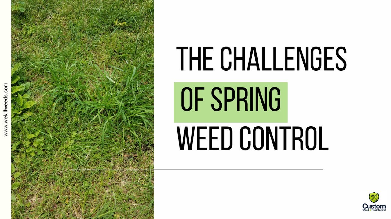 The Challenges of Spring Weed Control