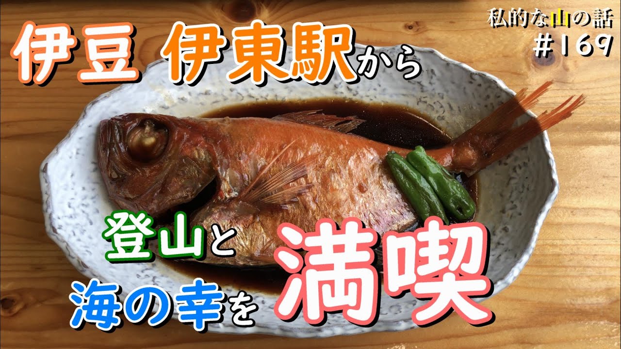 【伊豆・伊東】大平山から馬場の平、柏嶺へ！東伊豆の海と山の景色を満喫できるコースです♪ ＃登山 ＃トレッキング ＃ハイキング ＃伊東駅