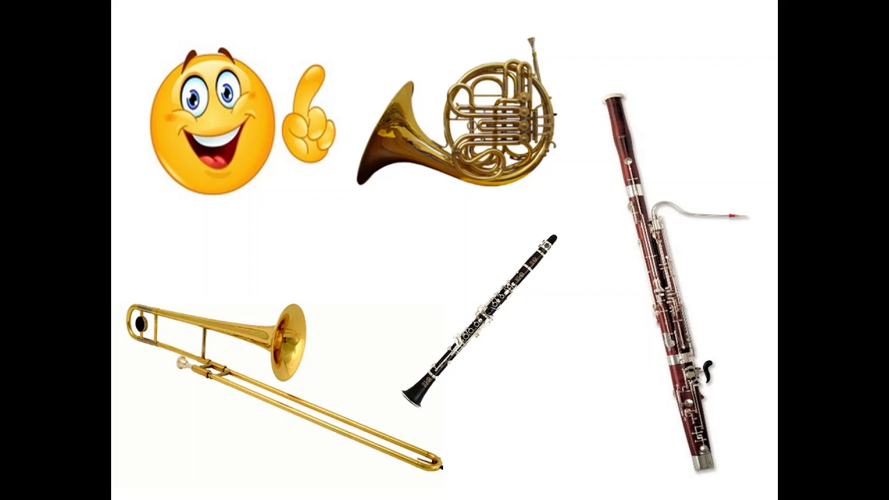 Vaikams. Pučiamieji muzikos instrumentai 2