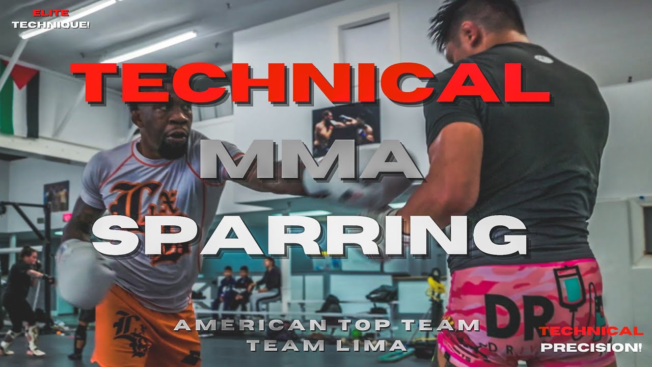 AMERICAN TOP TEAM | ELITE  MMA SPARRING #boxing #muaythai #mma #kickboxing #bjj #sparring