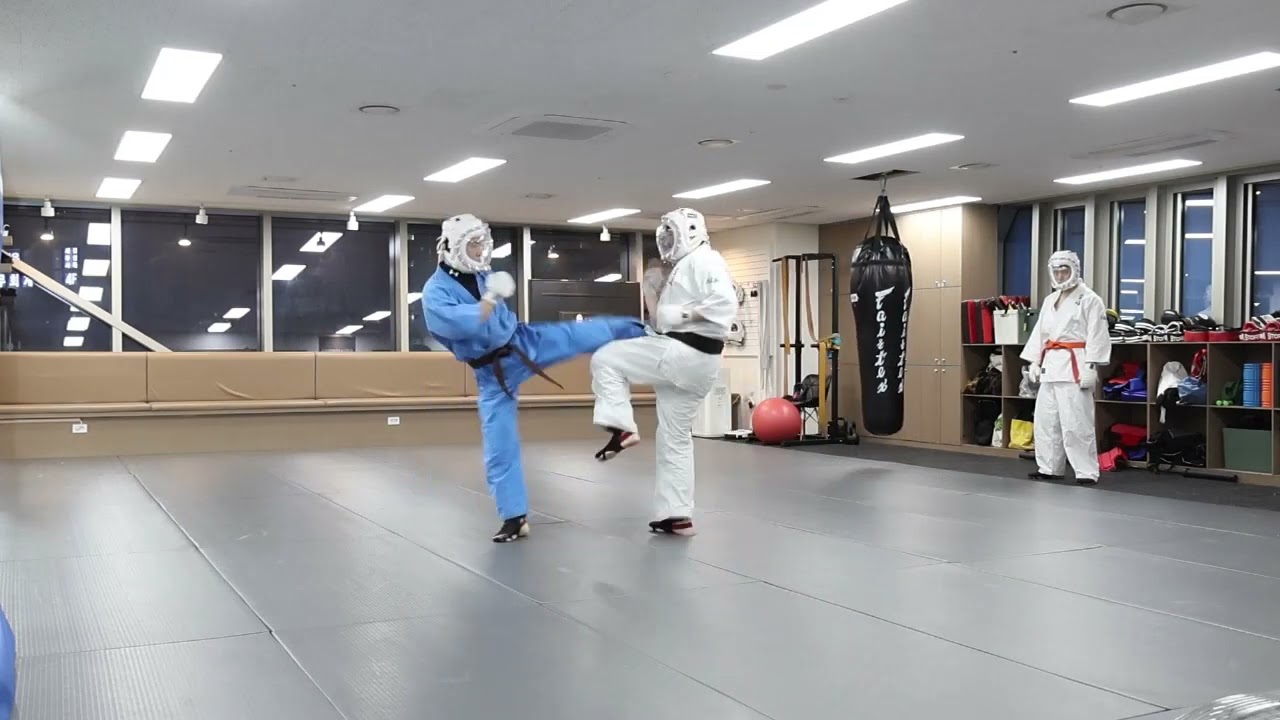 대도숙 쿠도 배우고는 싶은데 스파링이 부담되거나 걱정되시나요?