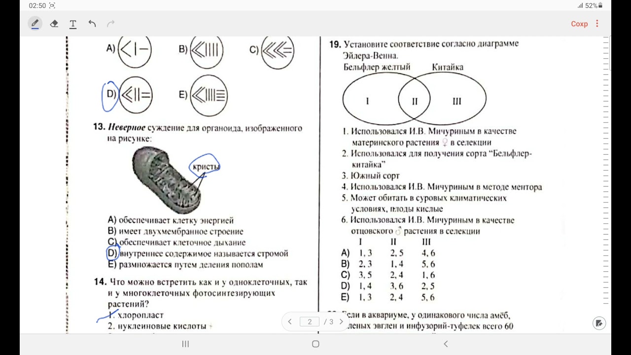 Вступительный экзамен/ Биология /4 блок/  20. 08. 2020