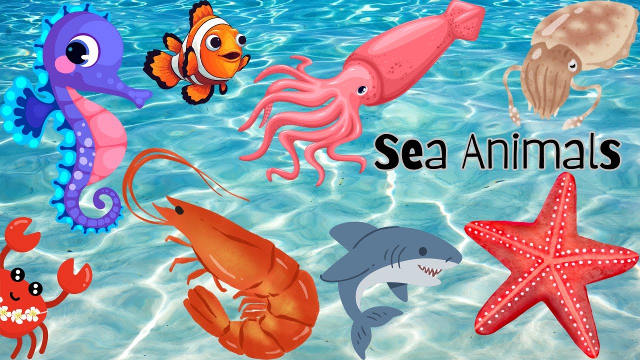 Learn Sea Creature || Sea Animals || Sea Animals for Kids || BrightKidz || BK