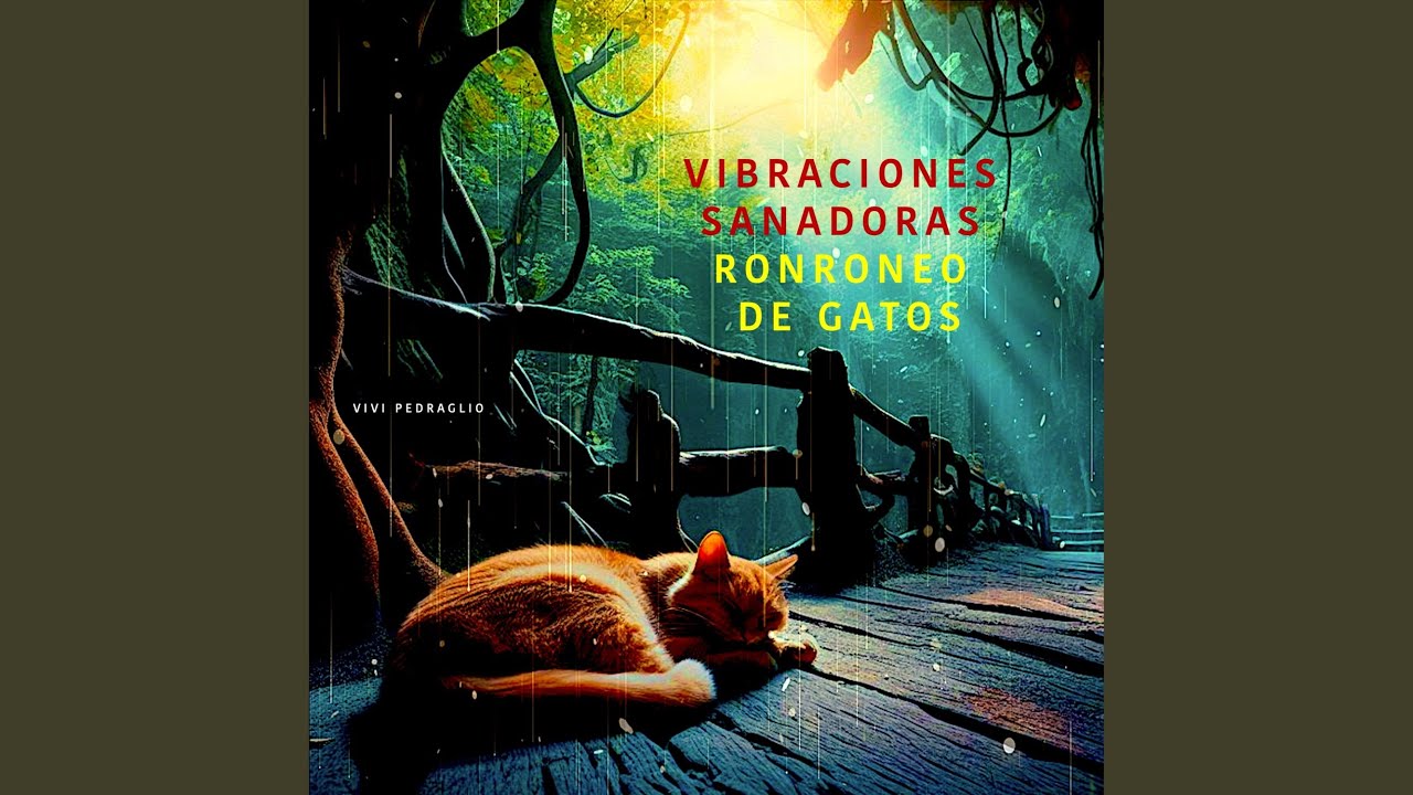 Vibraciones Sanadoras | RONRONEO de Gatos