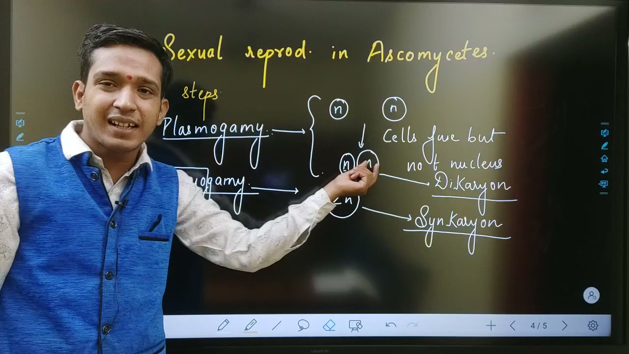Sexual reproduction in Class Ascomycetes (General discussion)