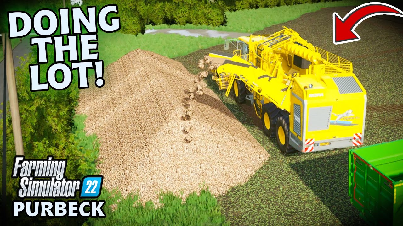 THIS FIELD PRODUCED A CRAZY AMOUNT OF BEET! | Purbeck | FARMING SIMULATOR 22 - Episode 26