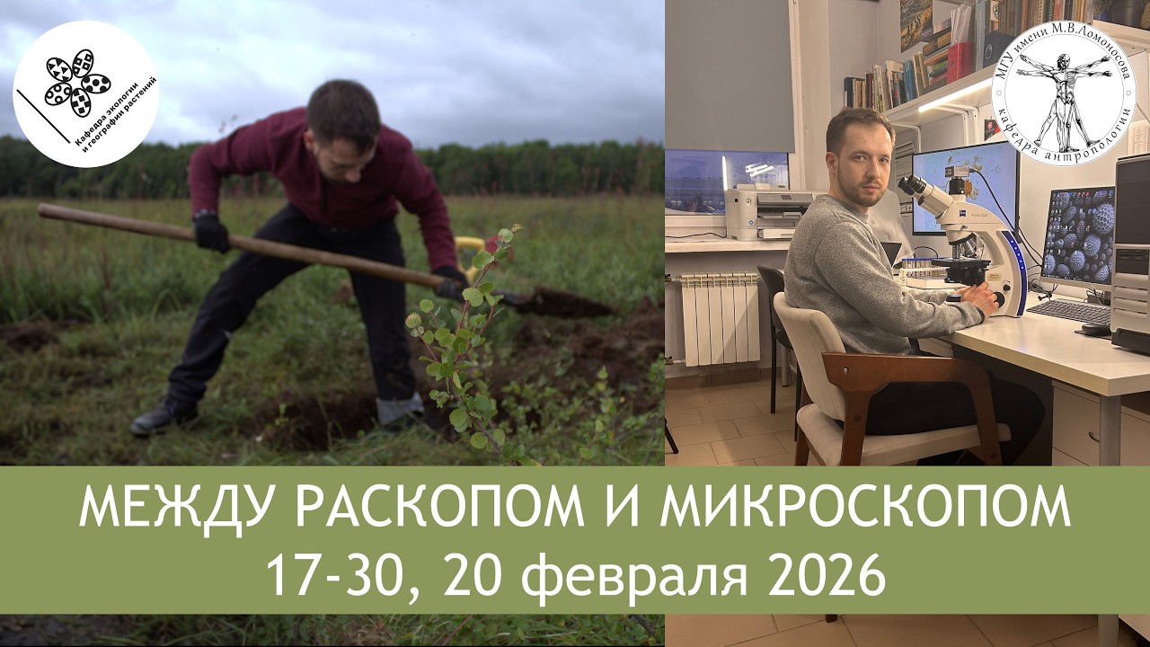 Между раскопом и микроскопом: что остатки растений могут рассказать о жизни древних обществ?