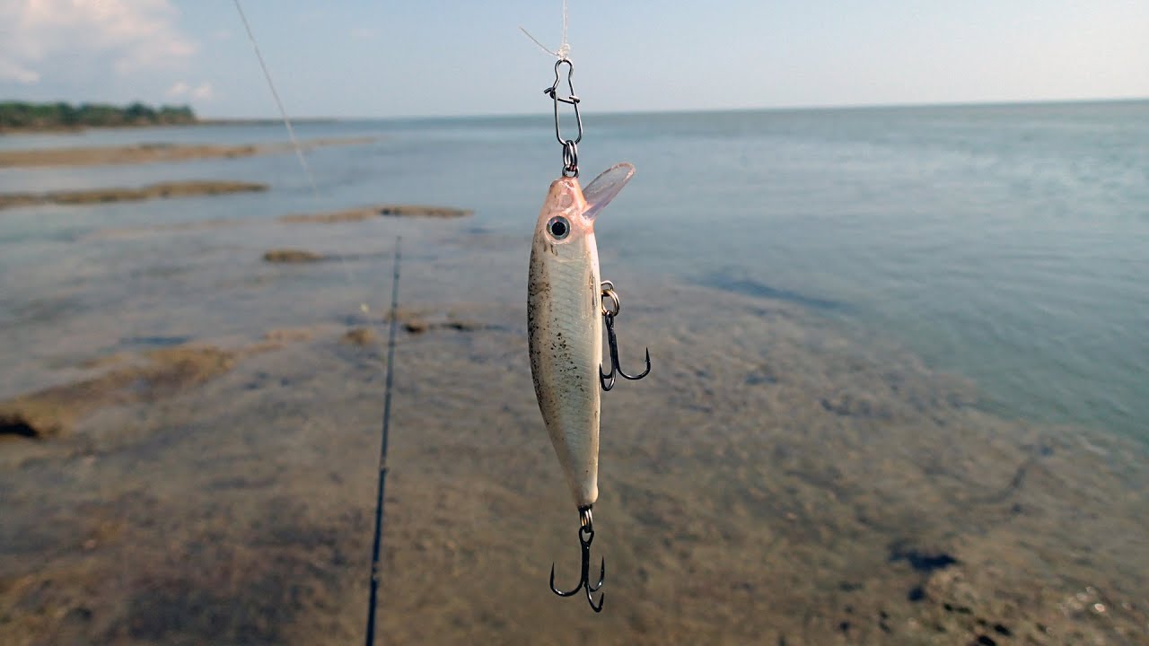 [Vol. 66] Rapala day!  Trevally, Queenfish and Barramundi!
