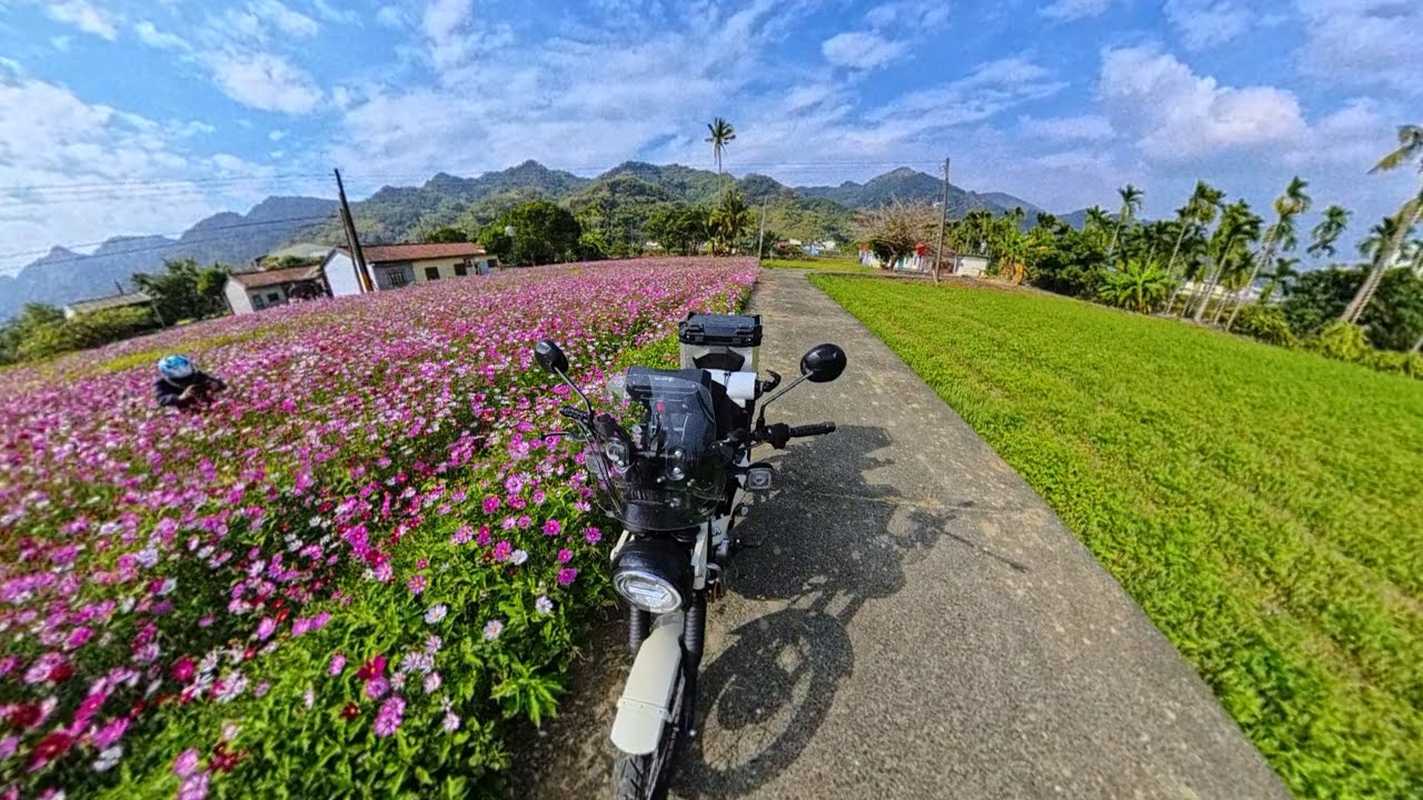 我與CT的二三事。花現、山城