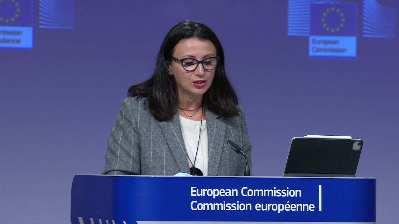 EU Calls on Turkey to Withdraw Mercenaries from Libya and cancel Libyan-Turkish maritime agreement
