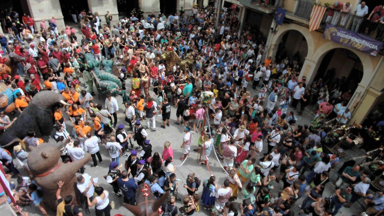 Diada castellera de Sant Joan 2024