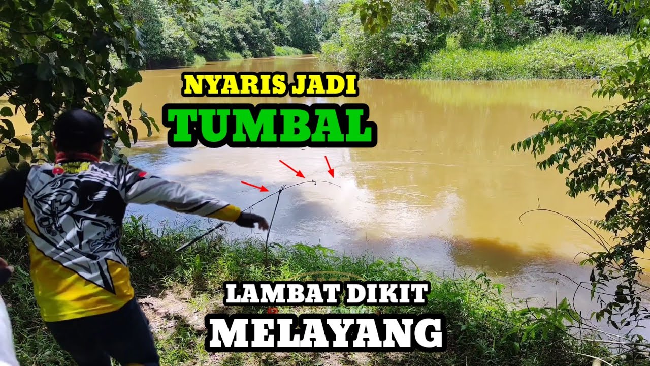 Mancing Ikan Disungai Joran Nyaris Melayang || Ulah Ikan Babon
