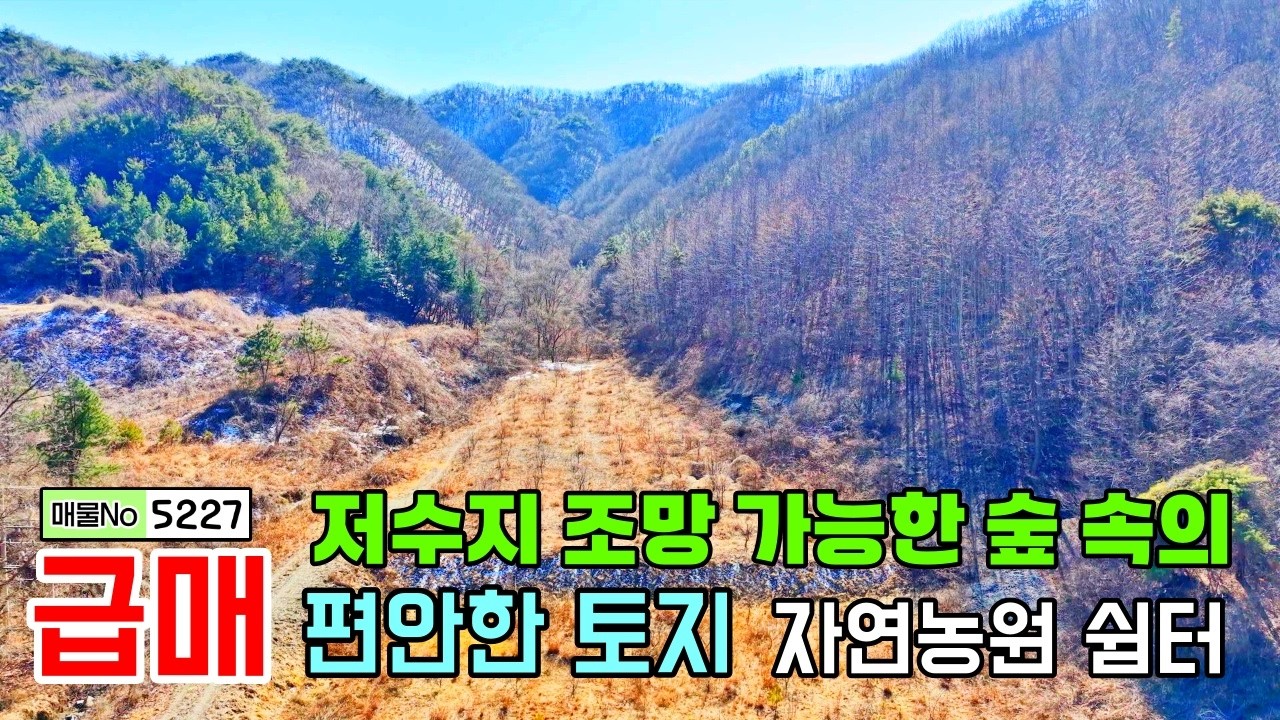 급매합니다. 저수지 조망 가능한 숲 속의 편안한 나만의 아지트! 토지매매  전원주택지 체류형쉼터 자연농원 충남 공주부동산 💕행운집땅부동산tv  시골집 전원주택매매(매물번호5227)