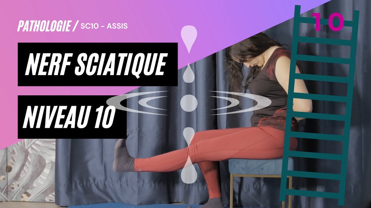 P110 - SC10 - 10e  et DERNIER niveau de l'échelle de progression pour le nerf sciatique