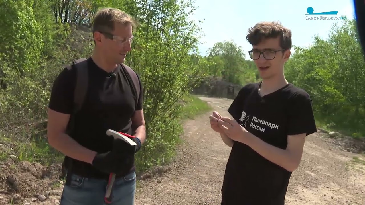 Обитатели Ордовика. Окаменелости Ленинградской области