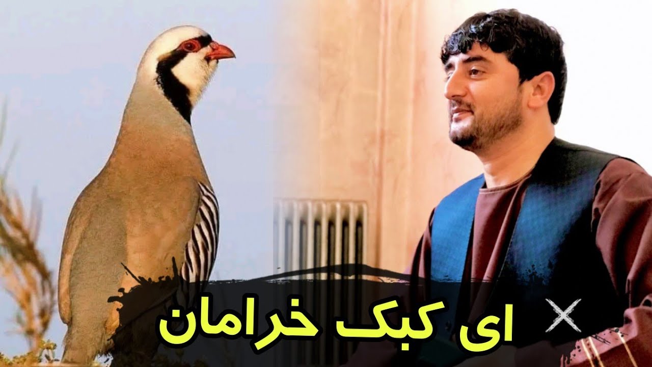 نجیب کشمی دمبوره به ثبوت - ای کبک خرامان