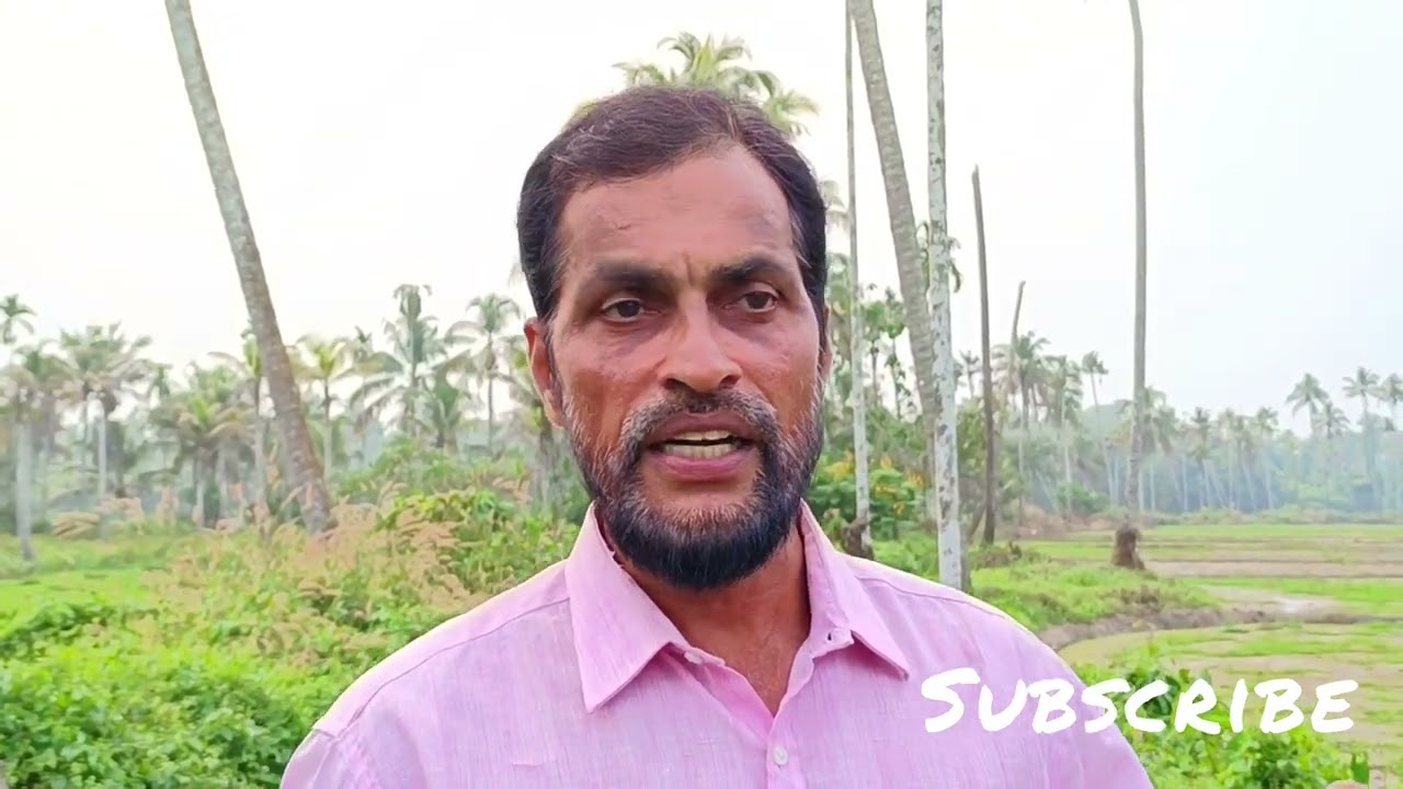nelkrishi  വളപ്രേയോഗങ്ങൾ, നെൽകൃഷി വളപ്രേയോഗങ്ങൾ
