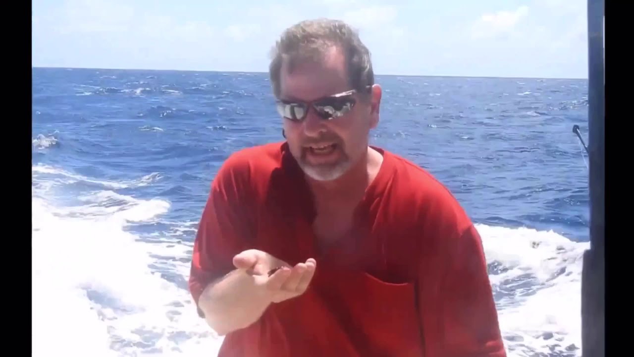Fishing In St. John