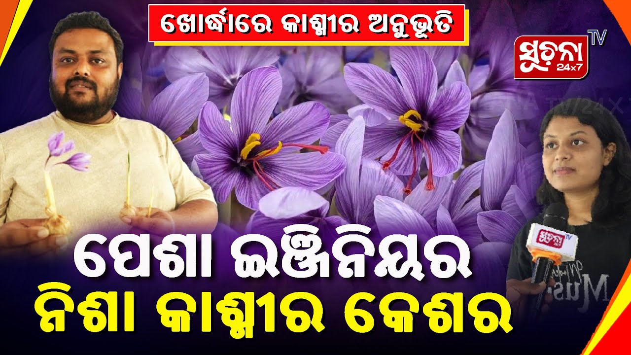 ଇଞ୍ଜିନିୟର ପରିବାରର କାଶ୍ମୀର କେଶର ଚାଷ